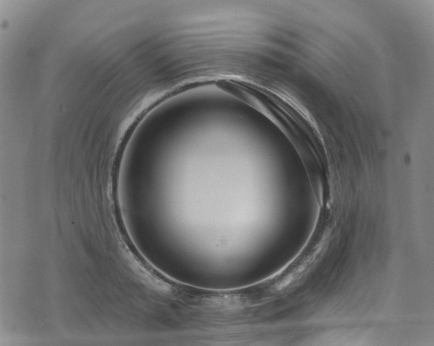 X0000074940797200609011114