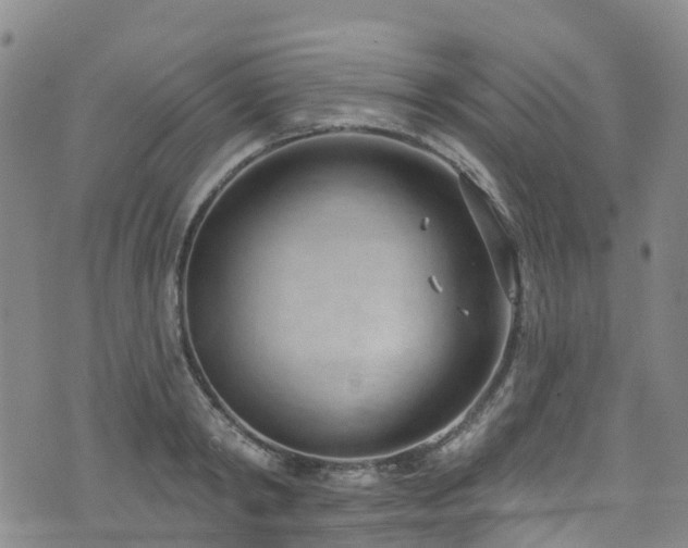 X0000074940798200609011114