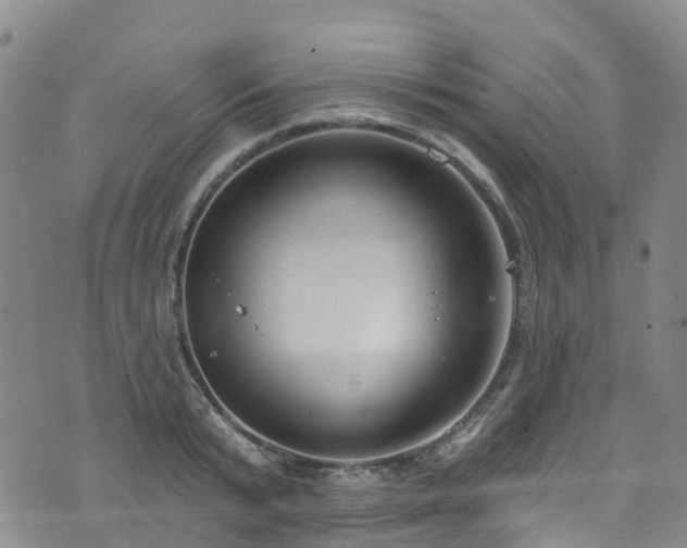 X0000074940799200609011114