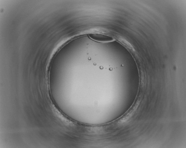 X0000074940800200609011114