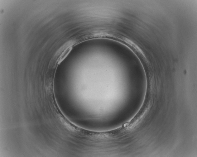 X0000074940801200609011114