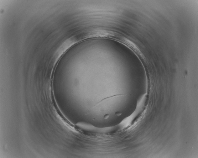 X0000074940802200609011114