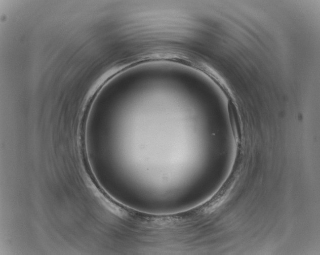 X0000074940803200609011114