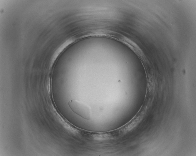 X0000074940804200609011114