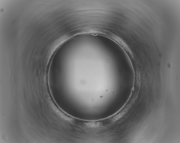 X0000074940805200609011114