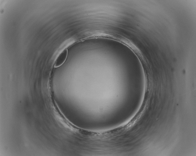 X0000074940806200609011114