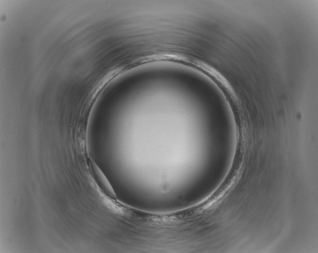 X0000074940809200609011114