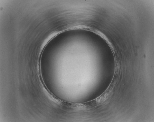 X0000074940811200609011114