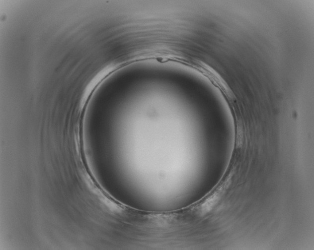 X0000074940812200609011114