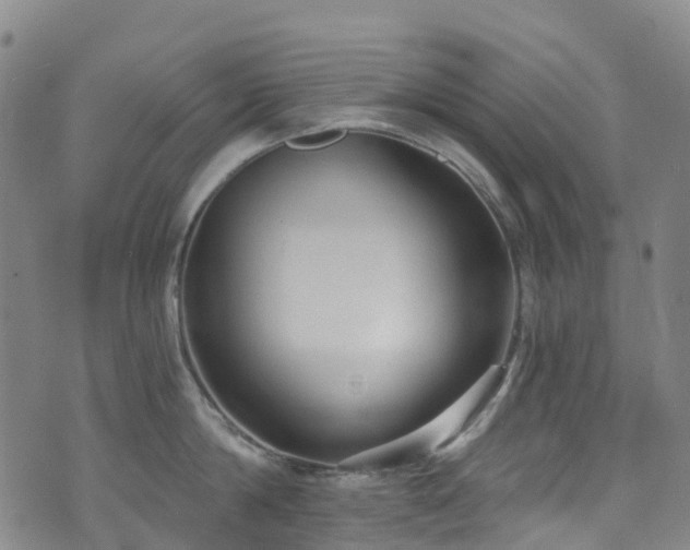 X0000074940814200609011114