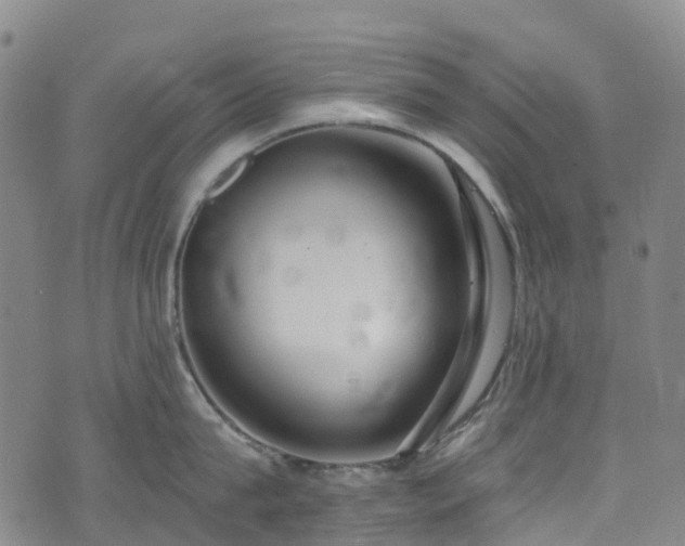 X0000074940815200609011114