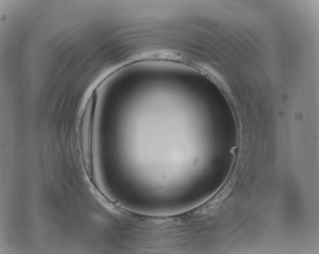 X0000074940816200609011114