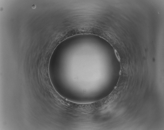 X0000074940817200609011113