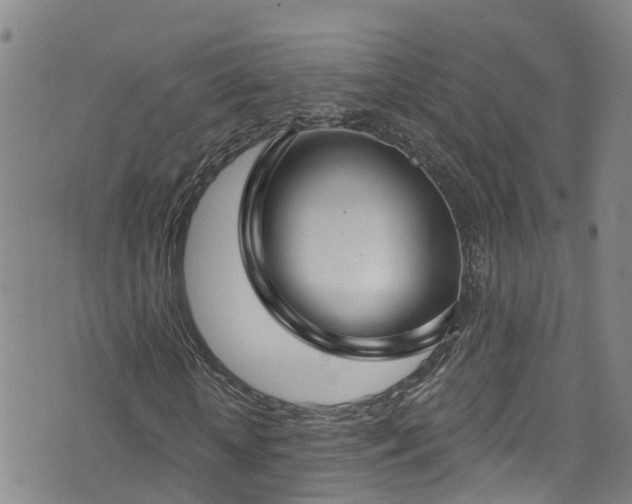 X0000074940818200609011113