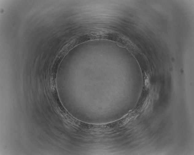 X0000074940819200609011113