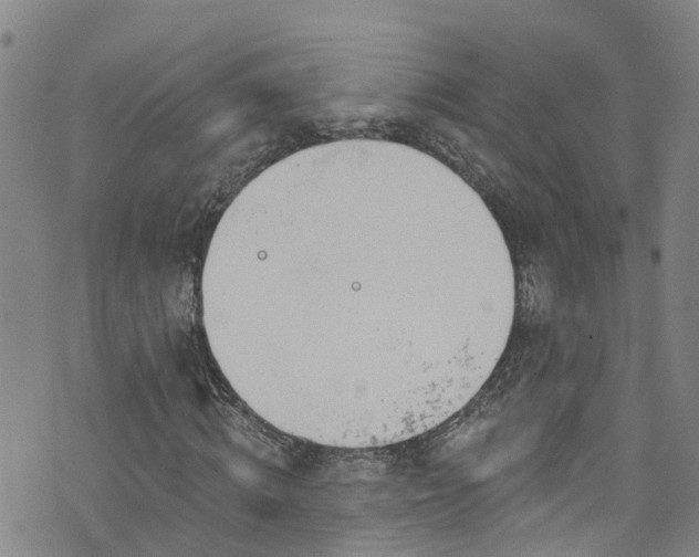 X0000074940820200609011113