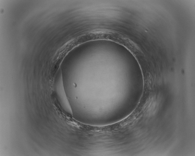 X0000074940821200609011113