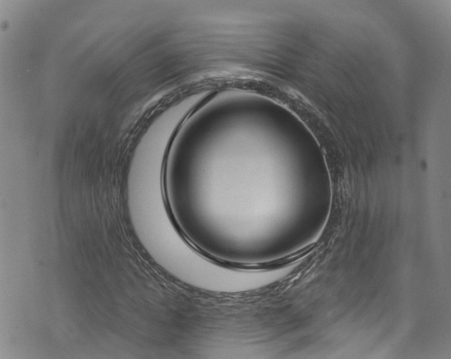 X0000074940822200609011113