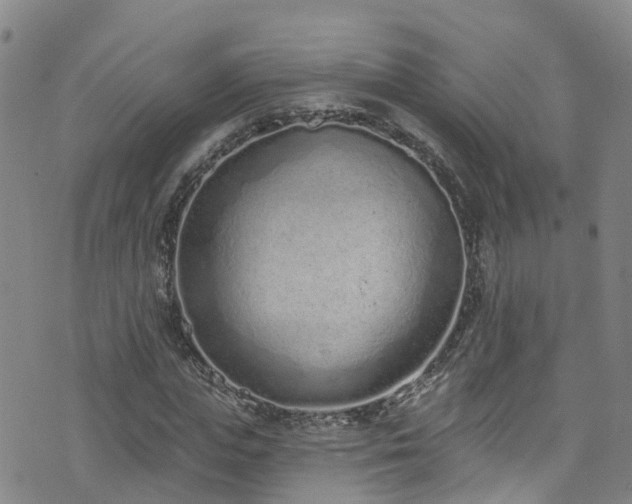 X0000074940823200609011113