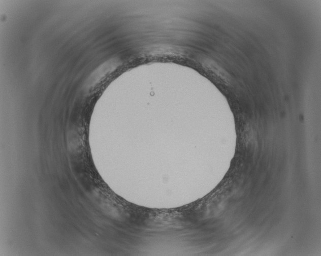 X0000074940824200609011113