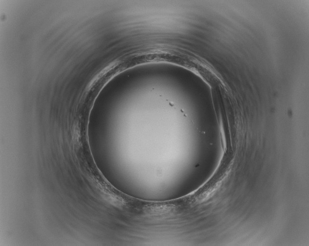 X0000074940826200609011113