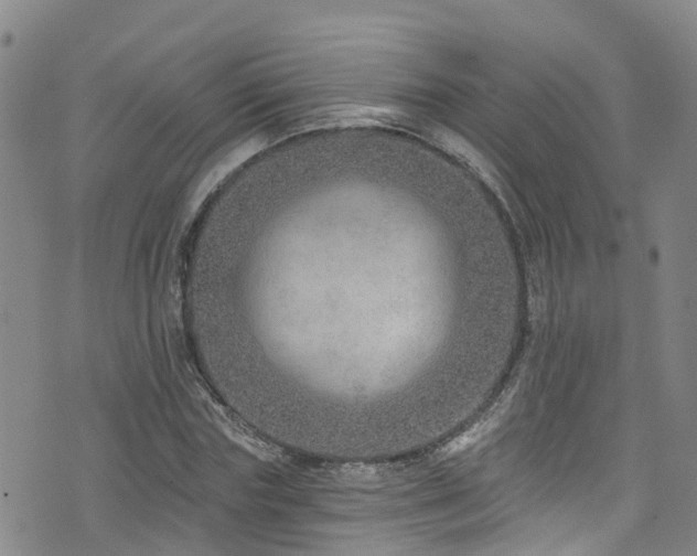 X0000074940827200609011113