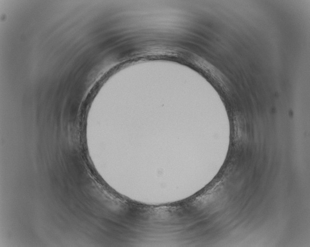 X0000074940828200609011113