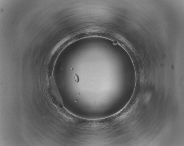 X0000074940829200609011113