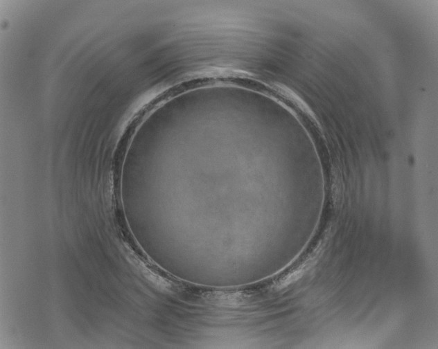 X0000074940831200609011113