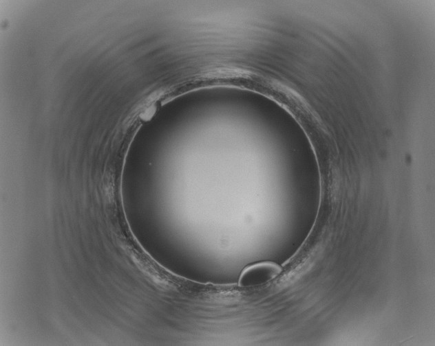 X0000074940833200609011113