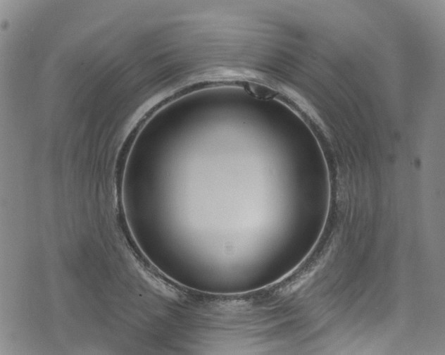 X0000074940837200609011113