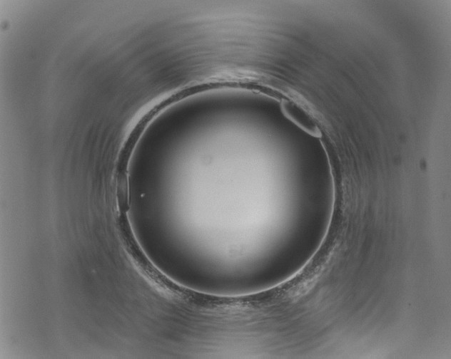 X0000074940838200609011113