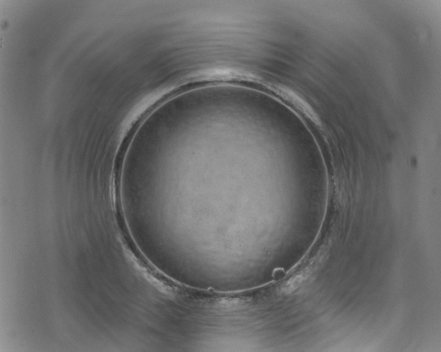 X0000074940839200609011113