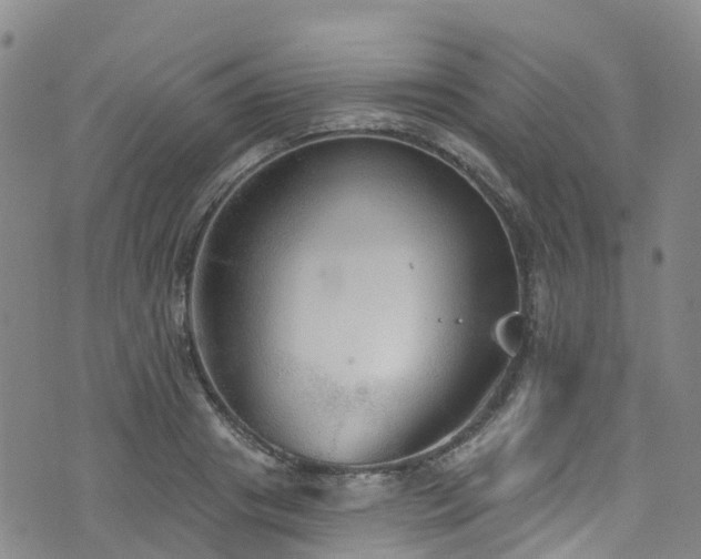 X0000074940841200609011113