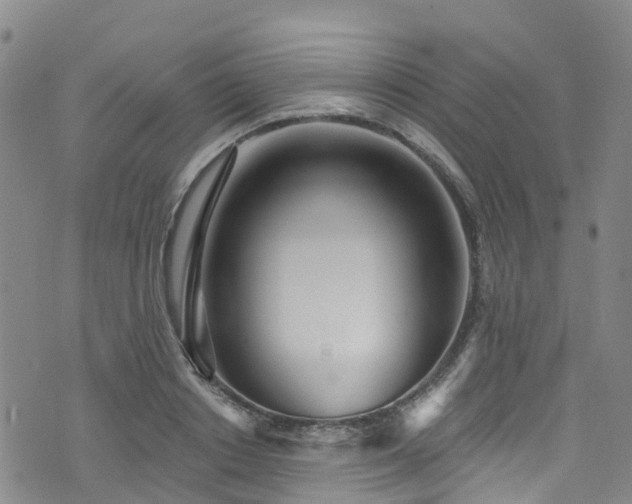 X0000074940842200609011113