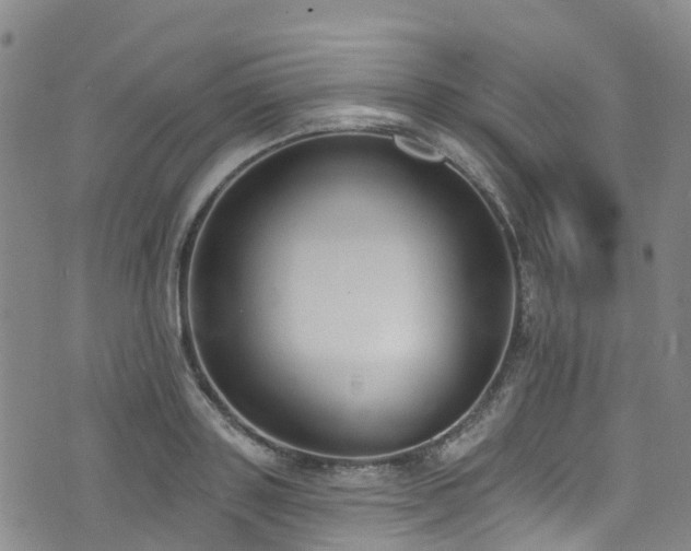 X0000074940843200609011113