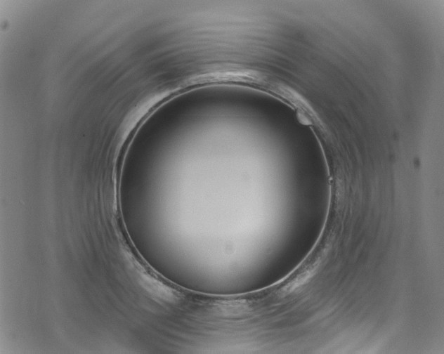 X0000074940844200609011114