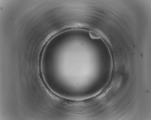 X0000074940845200609011114