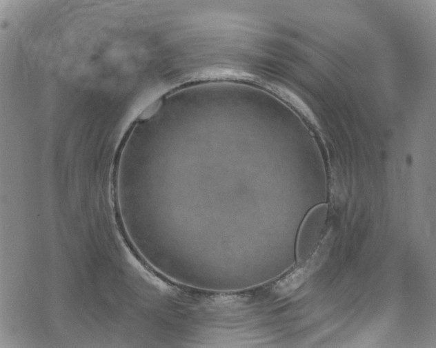 X0000074940847200609011114