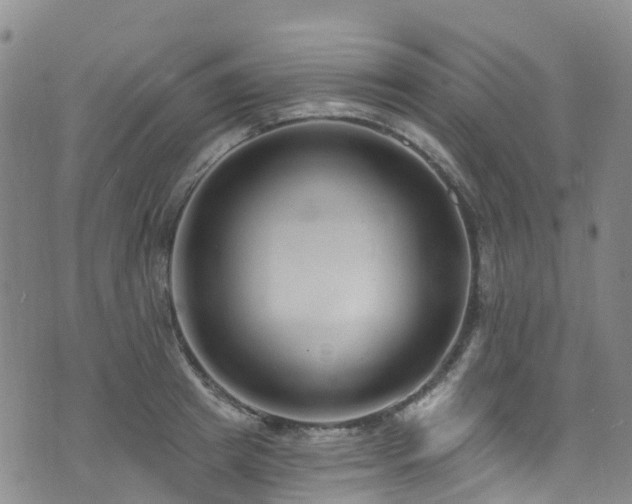 X0000074940849200609011114