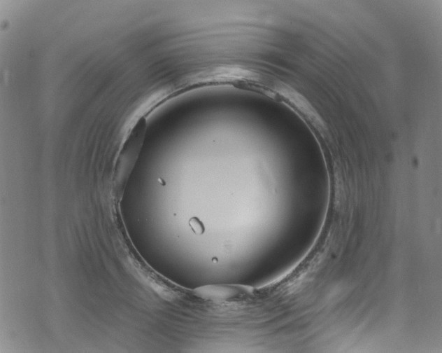 X0000074940850200609011114