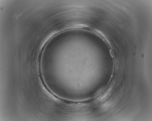 X0000074940851200609011114