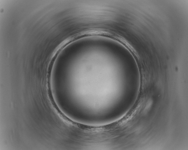 X0000074940853200609011114