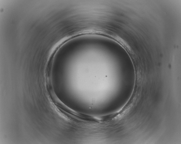 X0000074940854200609011114