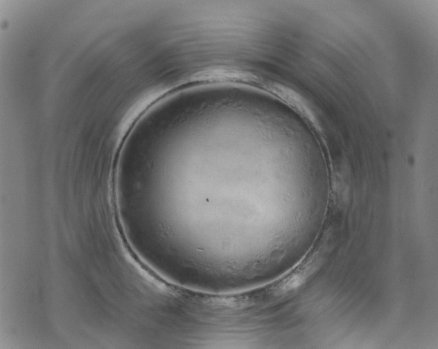 X0000074940855200609011114