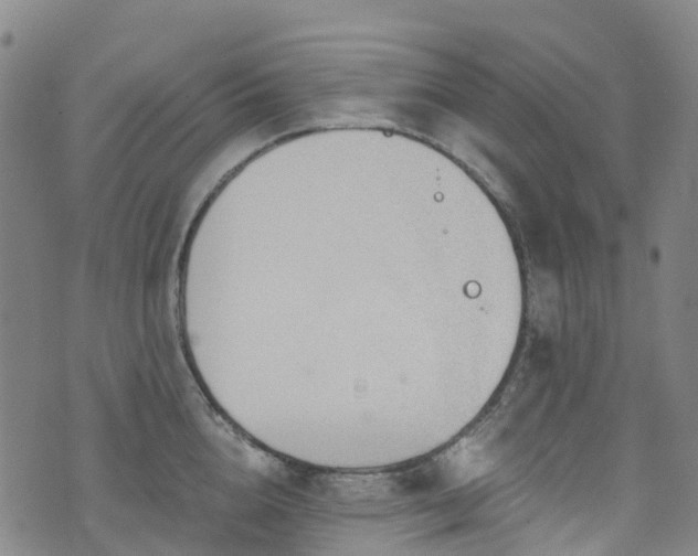 X0000074940856200609011114