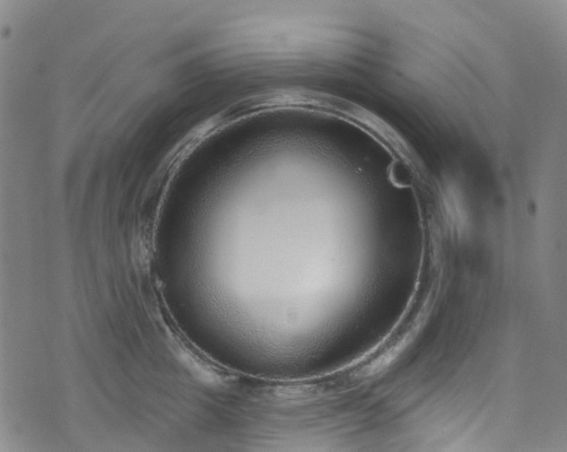 X0000074940857200609011114