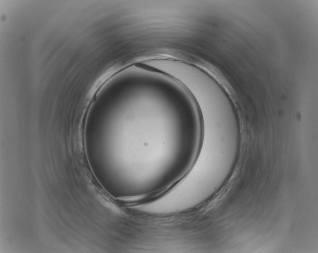 X0000074940858200609011114