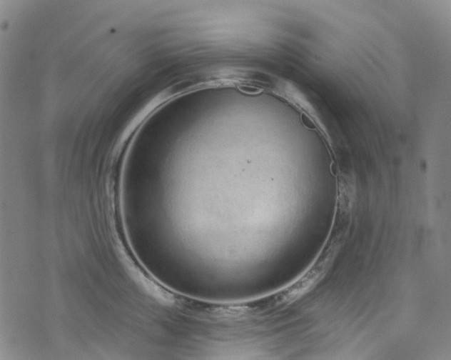 X0000074940859200609011114