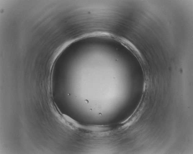 X0000074940860200609011114